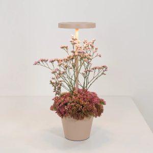 Alternative view of Tafellamp Poldina Reverso - Zand - Ø 11 x 35,5