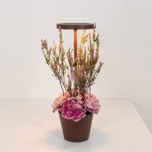 Alternative view of Tafellamp Poldina Reverso - Bruin - Ø 11 x 35,5