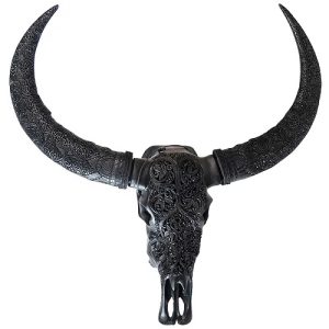 BUFFALO HEAD - ZWART