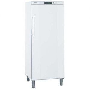 Liebherr vrieskast GGv 5010